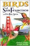 Birds of San Francisco and the Bay Area