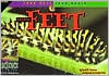 Animal Feet
