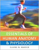 Essentials of Human Anatomy and Physiology