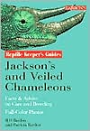 Jackson's Chameleons and Veiled Chameleons: Facts and Advice on Care and Breeding