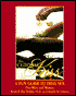 The Clitoral Kiss: A Fun Guide to Oral Sex, Oral Massage & Other Oral Delights for Men & Women