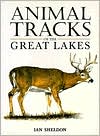 Animal Tracks of the Great Lakes