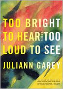 Too Bright to Hear Too Loud to See by Juliann Garey: Book Cover