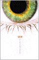 Sight