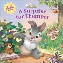 Surprise for Thumper: A Lift-the-Flap Book