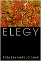 Elegy