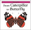From Caterpillar to Butterfly