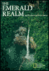 The Emerald Realm: Earth's Precious Rain Forests