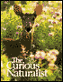 The Curious Naturalist