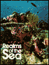 Realms of the Sea