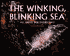 The Winking, Blinking Sea: All about Bioluminescence