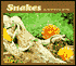 Snakes