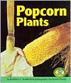 Popcorn Plants