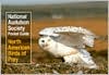 North American Birds of Prey