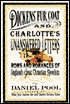 Dickens' Fur Coat and Charlotte's Unanswered Letters by Daniel Pool: Book Cover