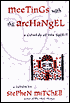 Meetings with the Archangel: A Comedy of the Spirit