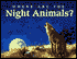 Where Are the Night Animals
