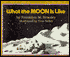 What the Moon Is Like