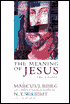 Meaning of Jesus: Two Visions