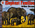 Elephant Families