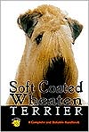 Soft Coated Wheaten Terrier