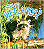 What Are Wetlands?