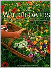 How to Grow Wildflowers in the Southwest