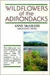 Wildflowers of the Adirondacks