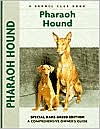 Pharaoh Hound (Kennel Club Dog Breed Series)