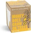 "Money Does Grow On Trees" Small Grow Me Kit by Gift Republic: Product Image