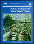 Public Transport in Third World Cities