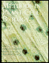 Methods in Plant Cell Biology, Part B