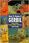 Guide to Owning a Gerbil