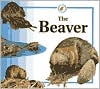Life Cycle of the Beaver