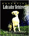 The Essential Labrador Retriever