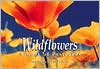 Wildflowers: A Book Of Postcards