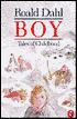 Boy: Tales of Childhood