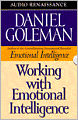 Working With Emotional Intelligence (8 Cassettes)