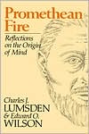 Promethan Fire: Reflections on the Origin of Mind