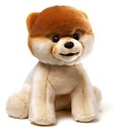Boo, the World's Cutest Dog by GUND: Product Image