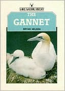 Gannet