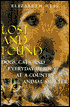 Lost and Found: Dogs, Cats, and Everyday Heroes at a Country Animal Shelter