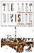 The Last Division: A History of Berlin 1945-1989