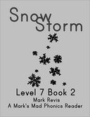 Snow Storm by Mark Revis: NOOK Book Cover