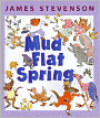 Mud Flat Spring