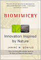 Biomimicry: Innovation Inspired by Nature