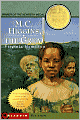 M.C. Higgins, the Great