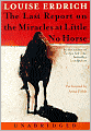 The Last Report on the Miracles at Little No Horse