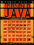Thinking in Java