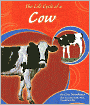 The Life Cycle of a Cow